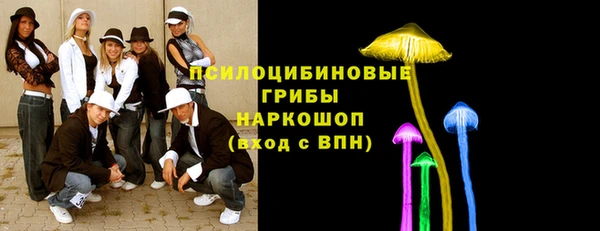 мдпв Медногорск