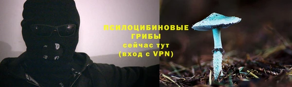 таблы Мегион