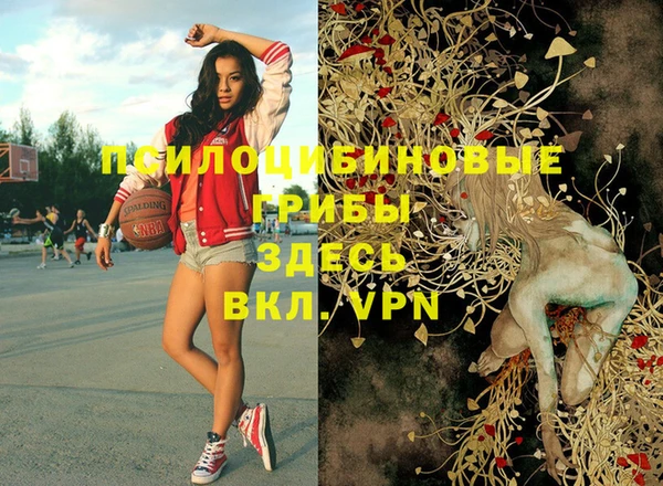 марки nbome Медвежьегорск