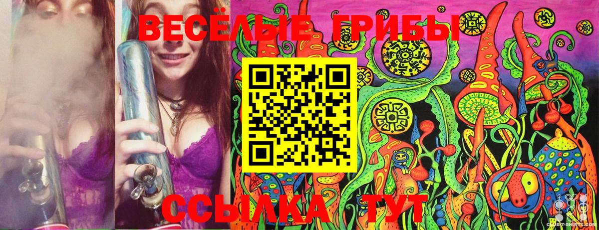 Галлюциногенные грибы Psilocybe Волжский