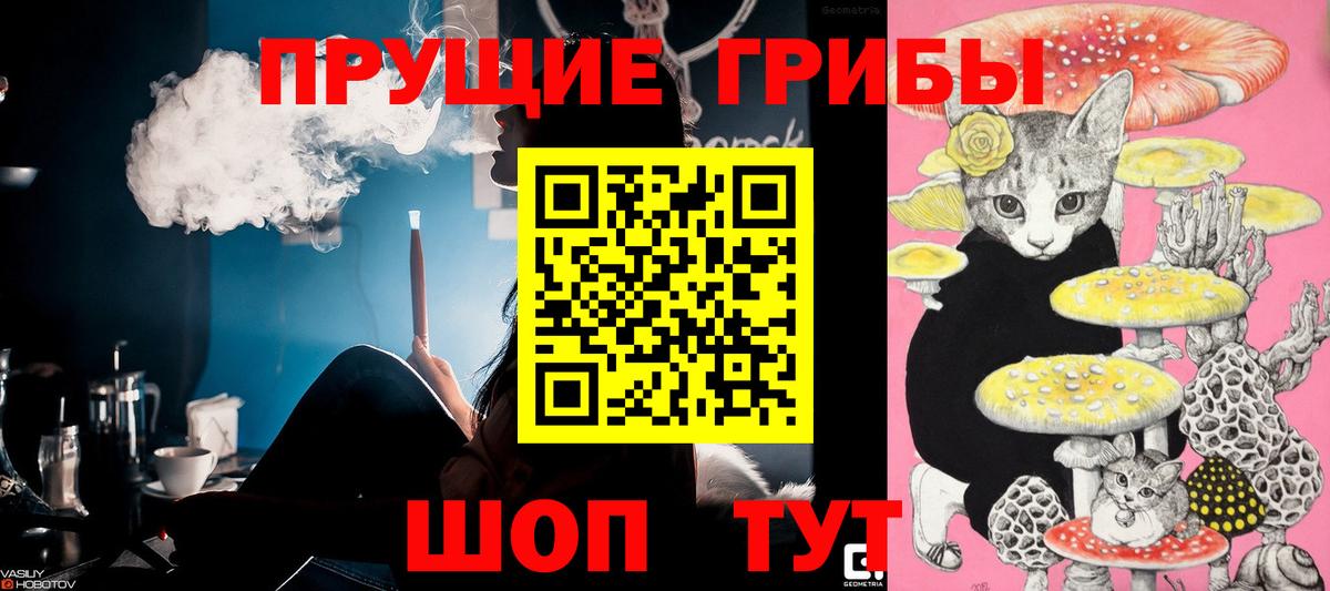 Канабис Волжский