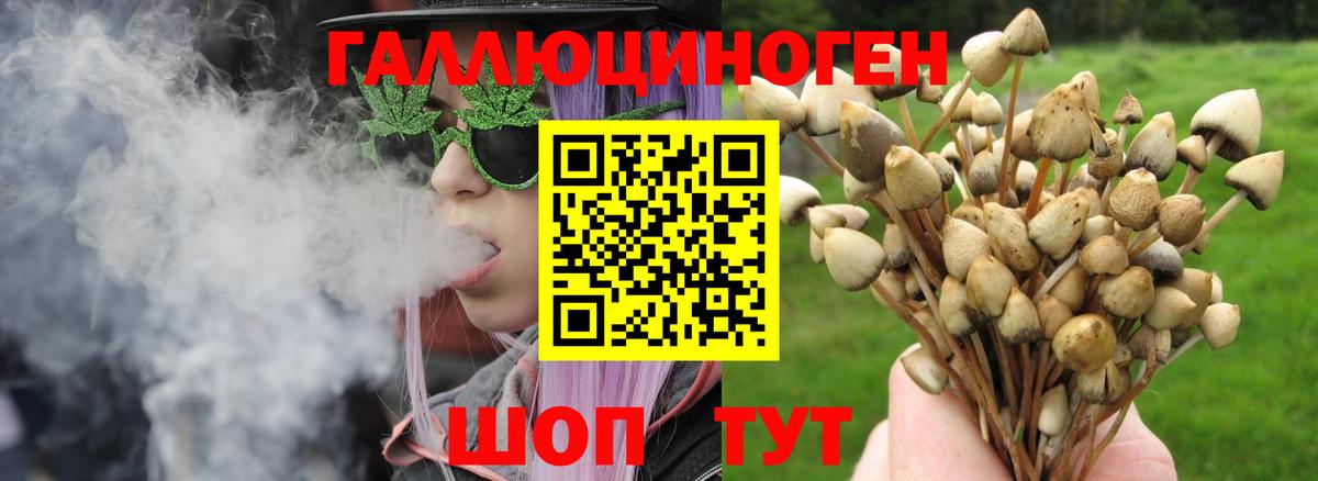 Волжский  Псилоцибиновые грибы Magic Shrooms  Вход с VPN  где купить наркоту  Галлюциногенные грибы Magic Shrooms 