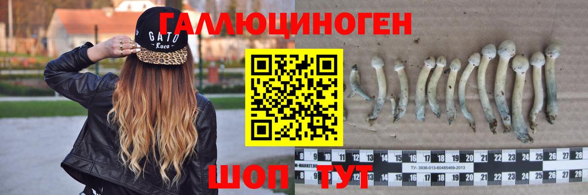 Галлюциногенные грибы ЛСД  Галлюциногенные грибы Magic Shrooms  Волжский 